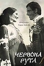 Червона Рута